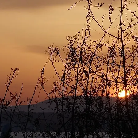 Limonlu Ev Ardic ألاتشاتي