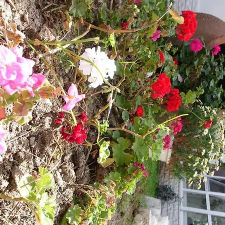 Hotel Limonlu Ev Ardic Alacati